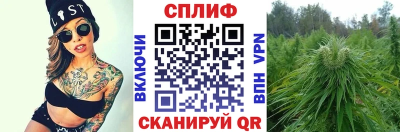 Конопля гибрид  МЕГА зеркало  Орлов  где можно купить наркотик 